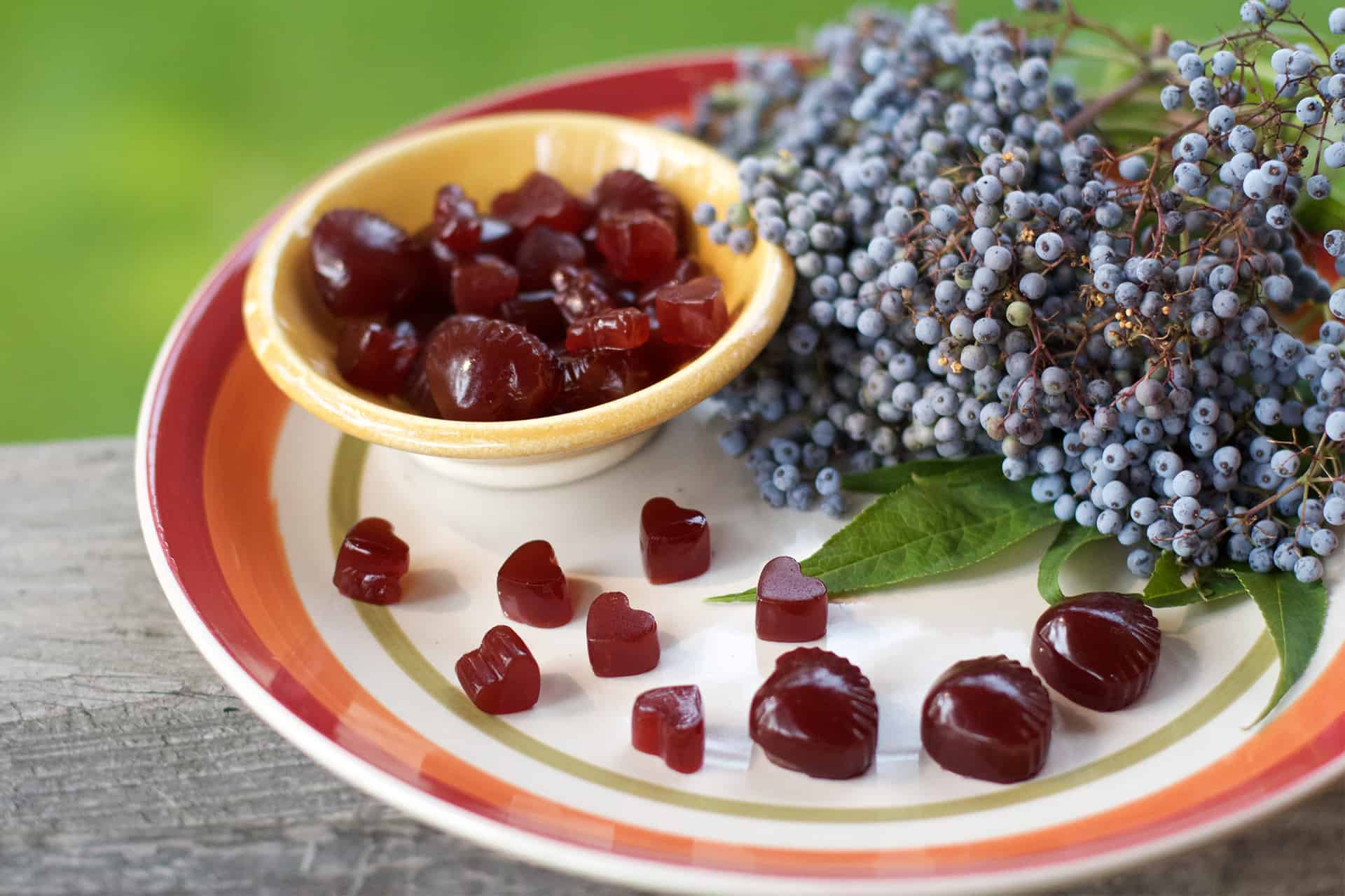 The 6 Best Elderberry Gummies